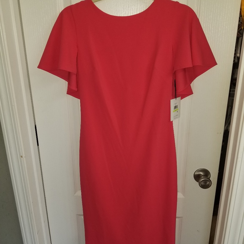 Calvin Klein Hot Pink Dress with Ruffle top